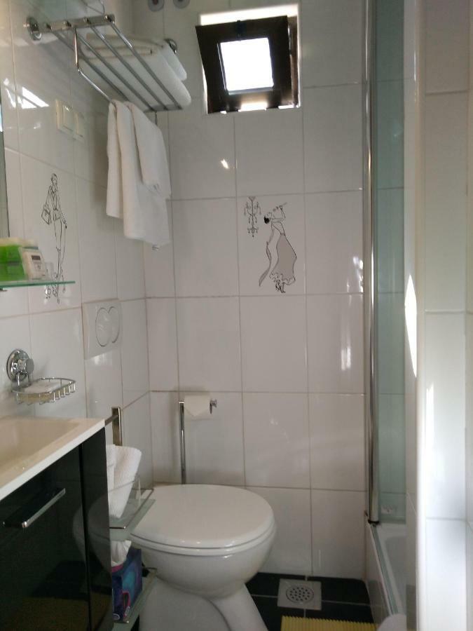 Central Zagrad Apartment غييكا المظهر الخارجي الصورة
